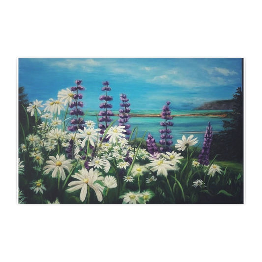 Cape Chignecto Daisy – Print
