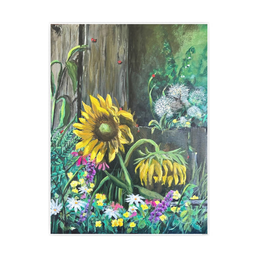 Barn Sunflowers – Print