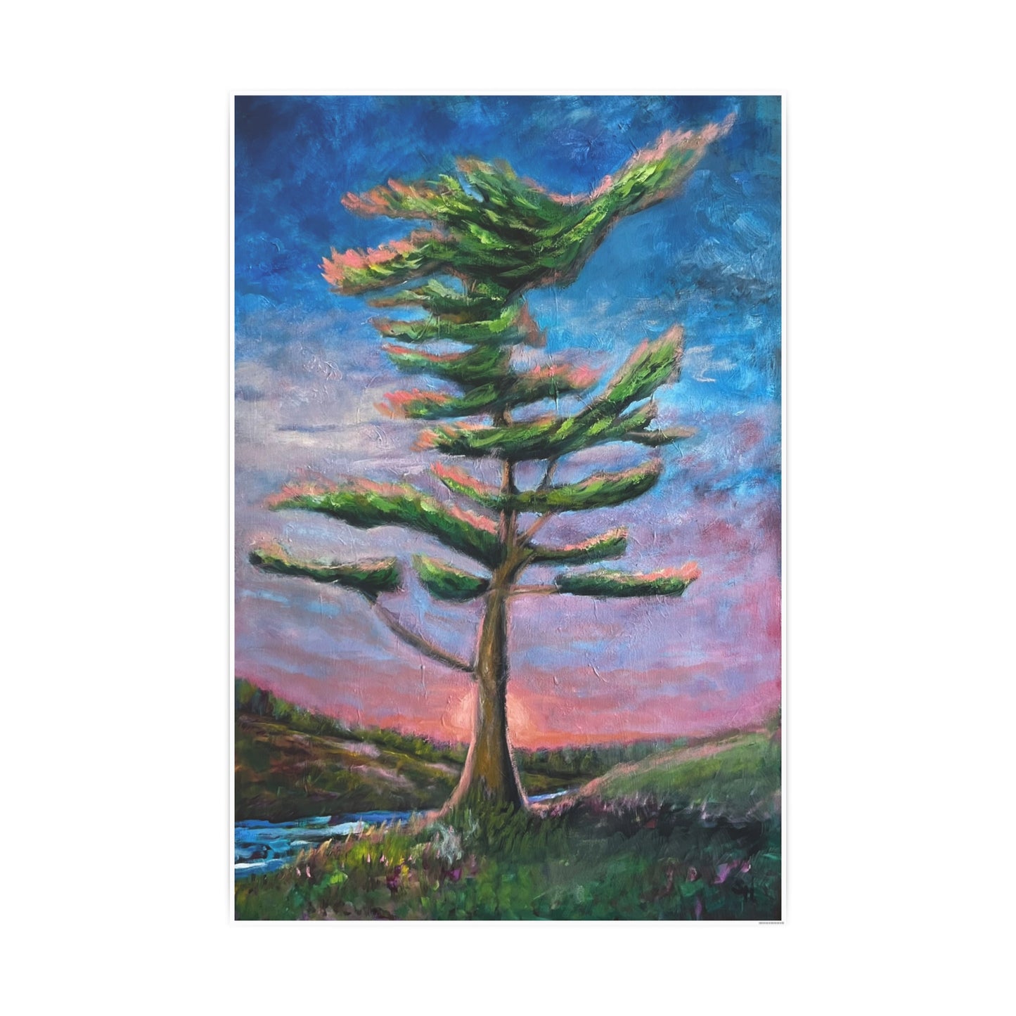Solitary White Pine – Print of the Original oil painting by Susanne Howard with Website: DancingLakeArt.ca