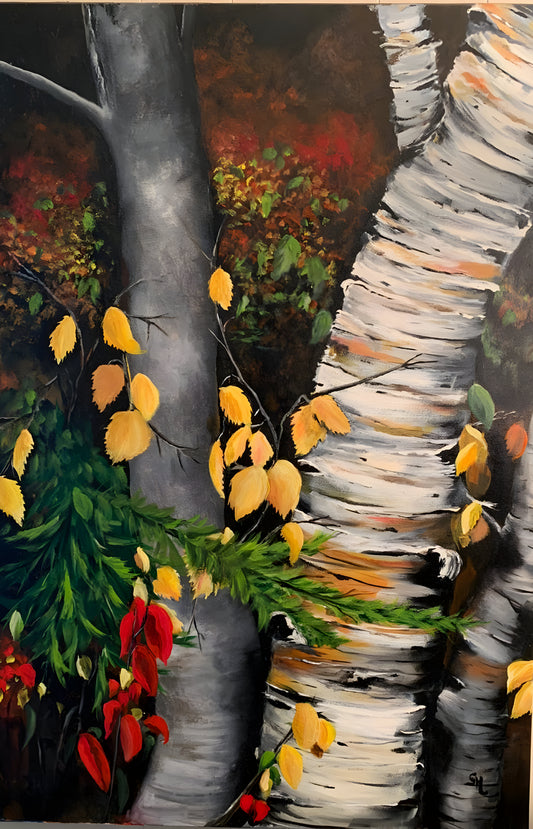 Birch and Elm in Muskoka