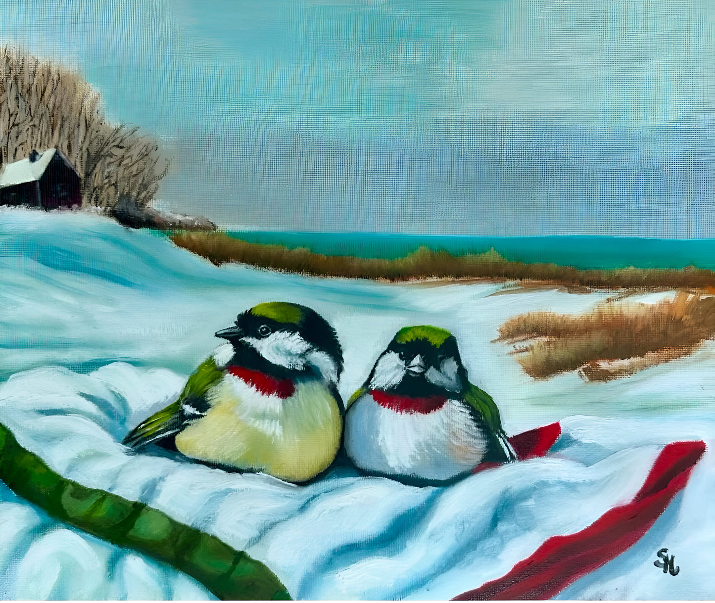 Birds of The Bay