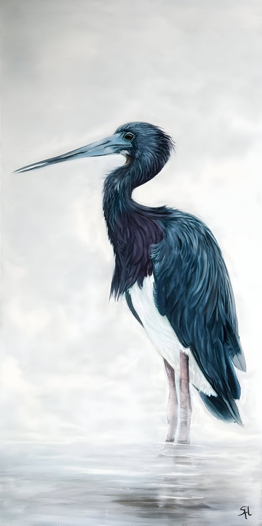 Blue Herron