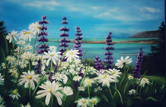 Cape Chignecto Daisy